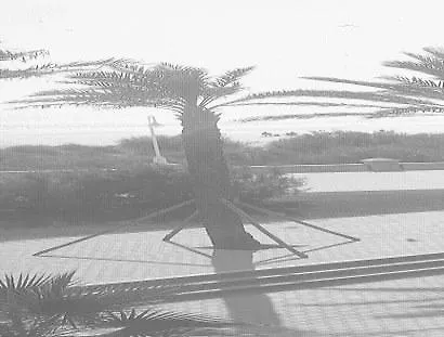 Golf Playa Country Club *